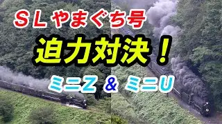 【SLやまぐち号】津和野2大撮影地で迫力対決！ミニZとミニU 勝つのはどっち？