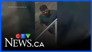 Police release suspect description in late-night sexual assault investigation