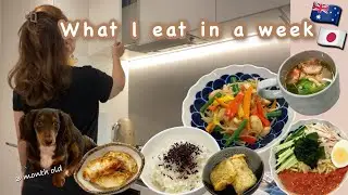 What l eat in a week | Recommended menu for after vacation | Living in Australia 🇦🇺 with puppy 🐶