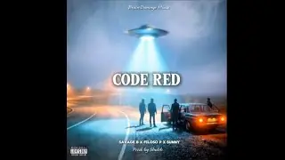 CODE RED - Savage B x Filoso P x Sunny Gunna | Prod by shubh | Official visualizer | Diss&That | dhh