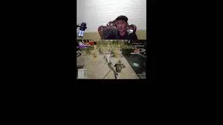 test live stream shorts #shorts #shorts #liveshorts trouble makers