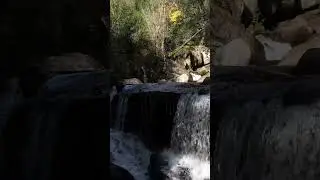 Small Waterfall In Nature #nature #waterfall #mountainriversound #waterfallsounds #mountainriver