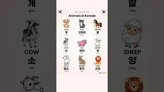 &ldquo;Korean Words for Animals 🐰 Soft & Simple Learning &rdquo;