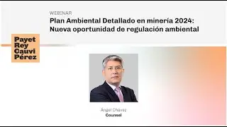 Plan Ambiental Detallado en miner&iacute;a 2024: Nueva oportunidad de regulaci&oacute;n ambiental