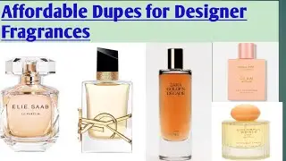 Best Dupes for Designer Fragrances || Elie Saab Le Parfum || YSL Libre/ Zara Golden Decade perfume