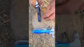 So best tools amazing pliers tool 😲 #pliers #besttools #vice #handtools