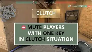 Clutch Mute In Valorant