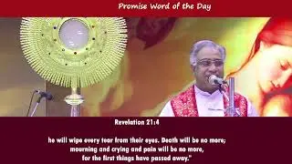 Promise word of the day | 14 January 2025 I  crying and pain will be no more