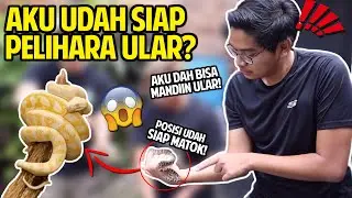 AKU UDAH SIAP PELIHARA ULAR? UDAH BISA MANDIIN DAN NGURUS ULAR! TIBA-TIBA ADA KURA MAHAL DATENG!