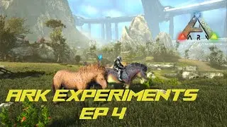 ARK Experiments Ep 4: Taming Equus to Start Making the Ultimate Knock-Out Machine!