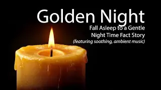 Golden Night - Darkness, Light, and Human Sleep | A Calming Sleepcast - w/Ambient Music