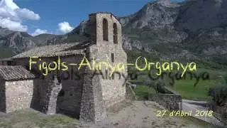 Figols Alinya Organya