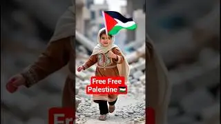 Free Free Palestine | Stand with Gaza #freepalestine #gaza