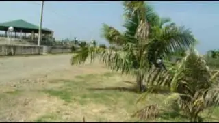 travel, beach, failure and monkeys.mp4