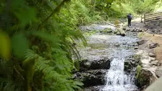 We All Live in a Watershed!