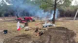 January 2026 - Life of the Dangerous Breed German Shepard SHEBA
