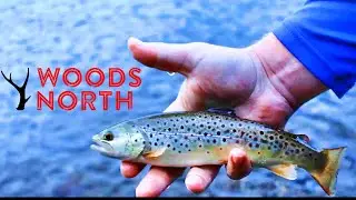 EARLY Summer FLY FISHING in Vermont (First Fish on a DRY FLY of 2022!)