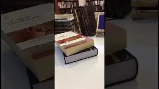 قراءة أكثر من كتاب في وقت واحد | عبيد الظاهري snap : obaid393