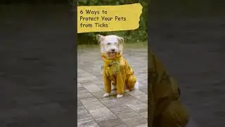 Tips and tricks to protect your pets from ticks & fles.😱 #petlover#dog#doglover#petowner#viral#puppy