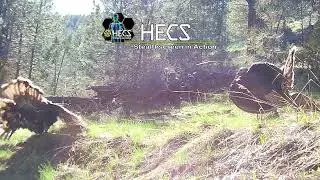 HECS turkey experience with founder Mike Slinkard