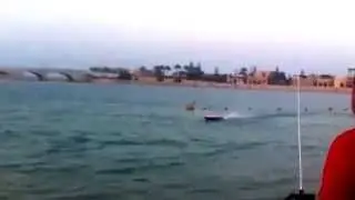 pro boat shockwave 55 ss