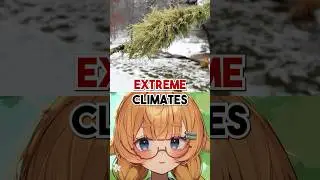 Что же такое лишайник на самом деле?!
