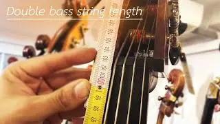 Double bass string length