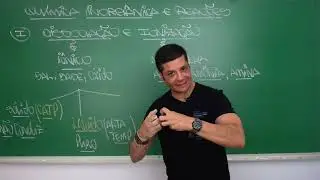 Dissociação e Ionização