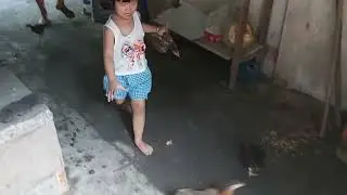 Về quê ngoại hành hạ mấy con gà