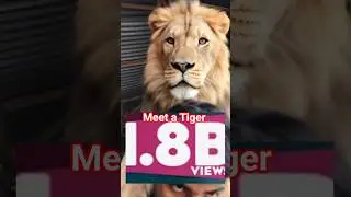 MEET A TIGER🔥😱 #shorts #aishorts #ai #funny #cartoon