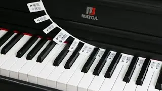 Removable Piano Keyboard Note Labels, Reusable Piano Notes Silicone Strips 88 Key Piano Review