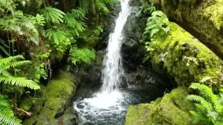 Waterfall Hike 2