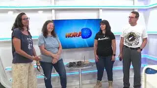 METEOR&Iacute;TICAS NO HORA D (29/08/2024)