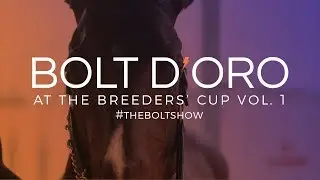 Bolt d'Oro Breeders' Cup Diary - Vol. 1
