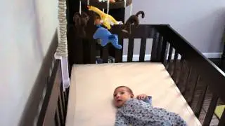 Crib Test