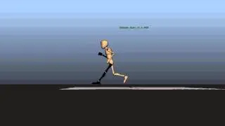 Cricket Bowling Action Animated Shot Progress