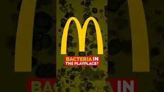 Bacteria in the playplace??? #bacteria #clean #fyp #microbiology #science #learning #education