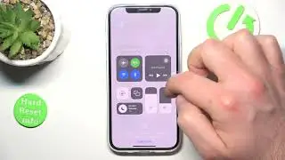 How to Check Data Usage on iPhone?