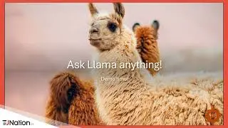 Tame your Llama, run AI in Java by Lutske De Leeuw - JNation 2025