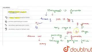 Vitellogenesis occurs in  | 12 | HUMAN REPRODUCTION  | BIOLOGY | ARIHANT NEET | Doubtnut