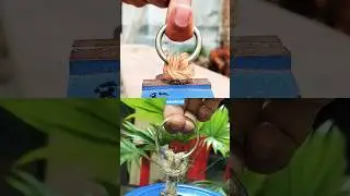 Genius Idea #craft #creative #yt #diy #rope #camping #innovation #shortsfeed #ytshorts #yts #shorts