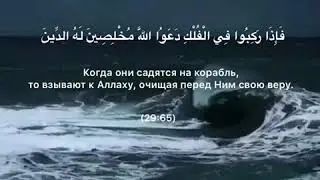 Сура: 29 &ldquo;Паук
