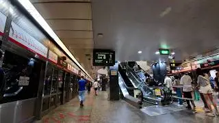 Orchard MRT Station | Paid transfer link walk from TEL Platforms to NSL Platforms | January 2026