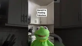 Kermit is feeling fabulous