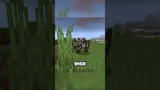 Mob behavior difference