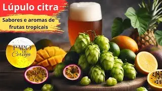 L&uacute;pulo Citra na Cerveja: Aromas Explosivos e Combina&ccedil;&otilde;es Perfeitas!