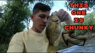 Fishing Des Plaines River Dam (P2)