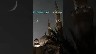 Surah  ut teen nice voice May 18, 2024