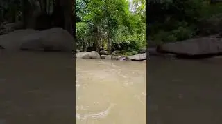 Jungle Waterfall, Koh Samui, Thailand