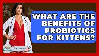 What Are The Benefits Of Probiotics For Kittens? - Ask A Pet Vet